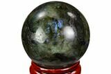 Flashy, Polished Labradorite Sphere - Great Color Play #105730-1